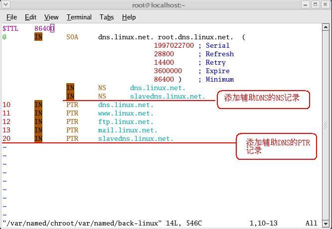 dns服务器配置 linux_配置DNS