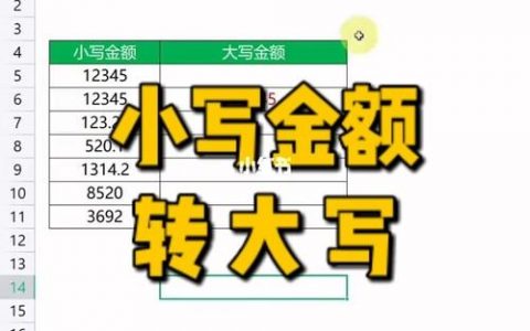 大小写金额转换器_金额