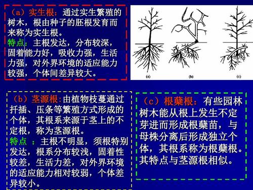 根节点_获取根节点