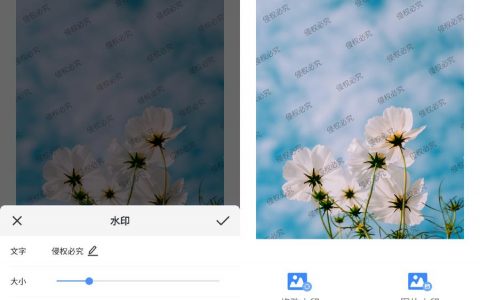 读图片文字的软件_提取图片中的文字暗水印