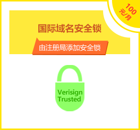 国际域名注册局_注册局安全锁