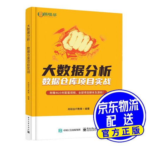 大数据分析数据仓库_大数据分析