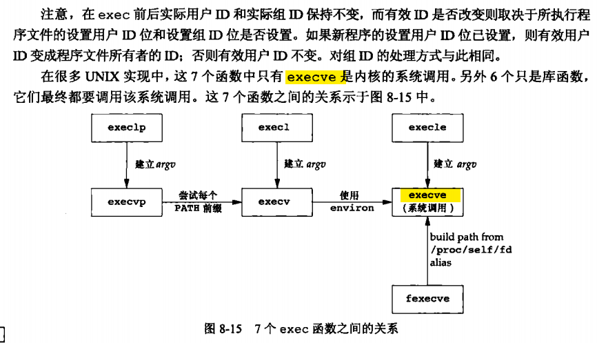 exec函数详解_详解