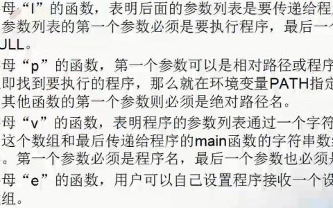 exec函数详解_详解