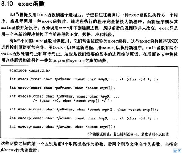 exec函数详解_详解