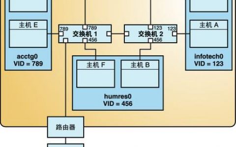 服务器 vlan配置_管理VLAN