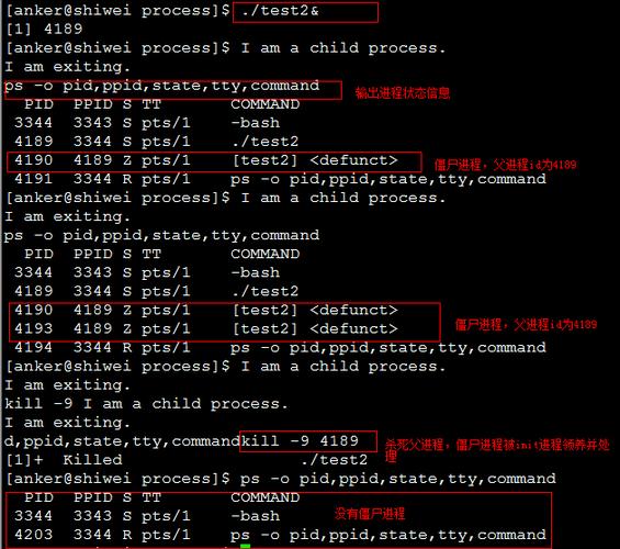 服务器客户端父子进程_新增父子任务（API名称：createSubTask）