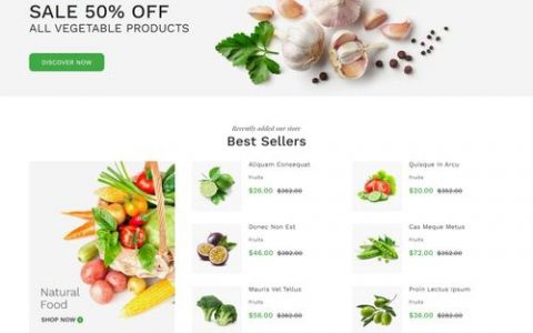 单页面网站制作模板_网站模板设置