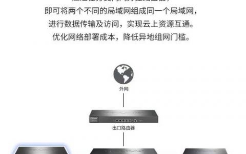 公司网络路由器_组网配置方式