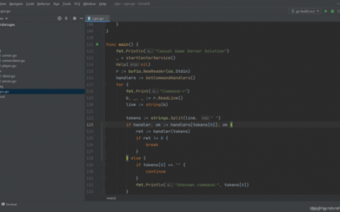 go语言服务器连接编程_其他编程语言