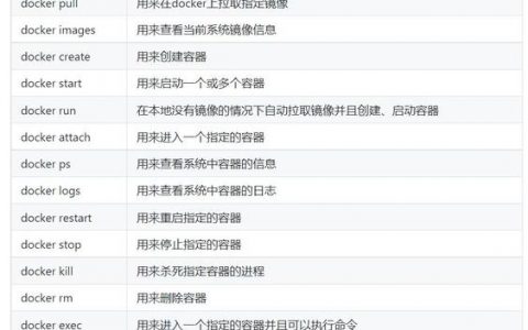 docker命令详解_执行Docker命令