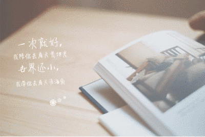 动态网络书_最新动态