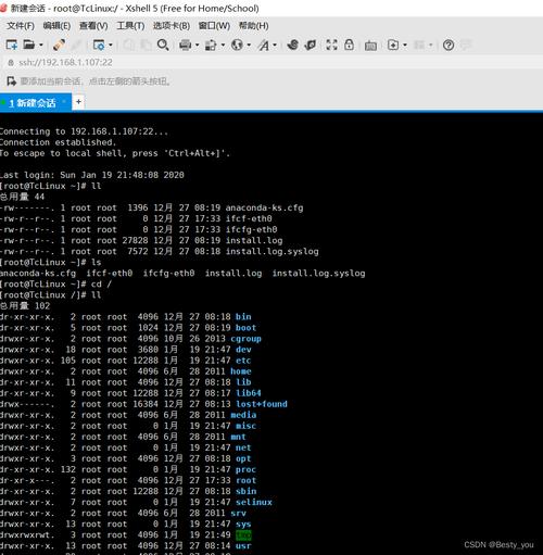 服务器mysql数据库_Mysql数据库
