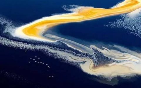 繁体字识别网_蓝藻识别