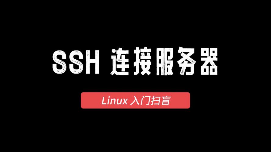 服务器ssh 多人_SSH连接