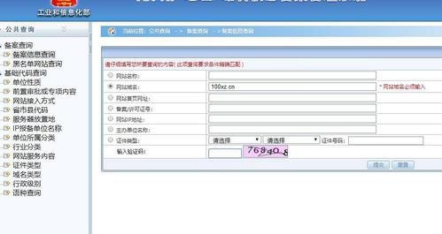 个人域名备案网站名称_域名网站备案