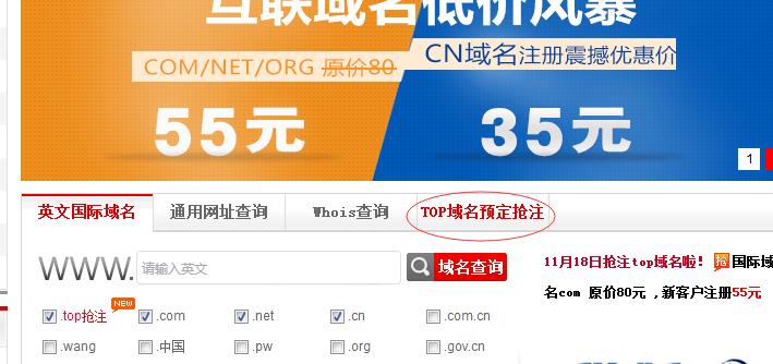国内域名抢注平台_其他平台域名接入指南