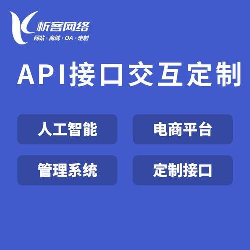 定制网站案例_定制接口