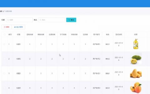带数据库的软件模板_获取数据库模板