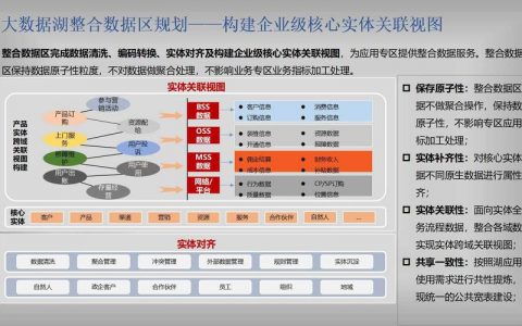 电子商务网站建设运营_数据湖建设和持续运营
