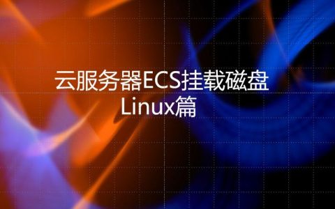ecs磁盘挂在_ECS