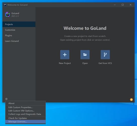 服务器开发软件_License