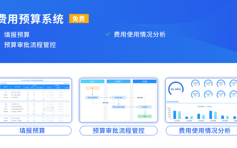 电子商务网站项目预算_预算管理