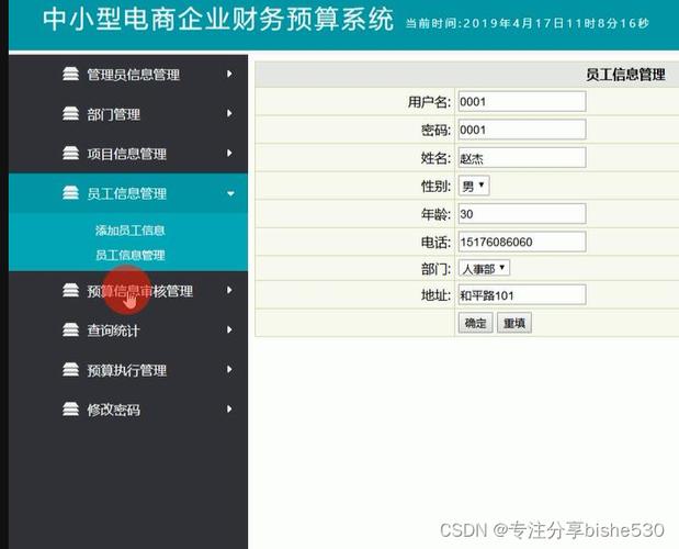 电子商务网站项目预算_预算管理