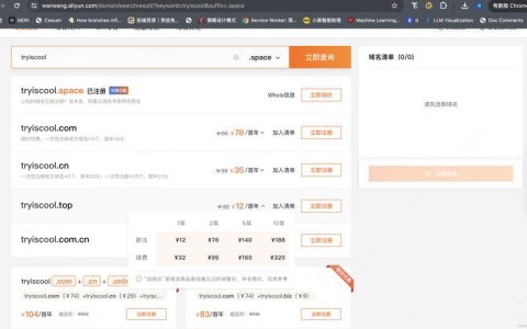 国内设计师个人网站_网站服务在国内如何设置加速网站域名？