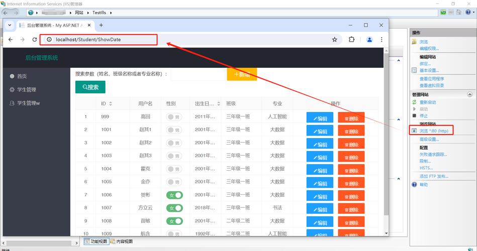 搭建iis网站_搭建网站