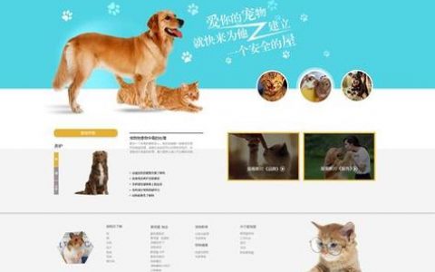 儿童网站网址大全_宠物大全