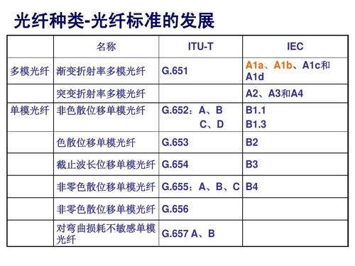 光纤存储类型_存储类型