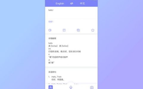 翻译英文网站的软件_多语言咨询