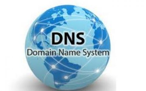 dns 国外网站_DNS