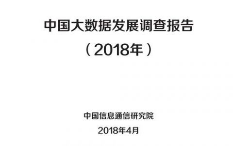 大数据在中国pdf_下载报告PDF