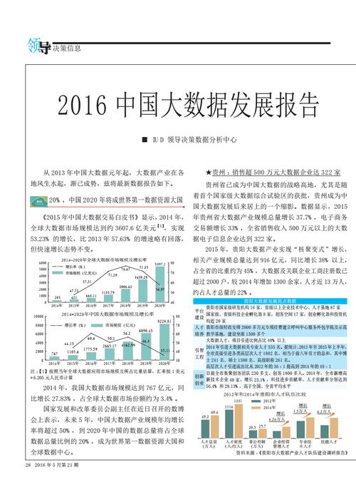 大数据在中国pdf_下载报告PDF