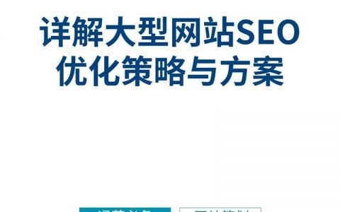 大型网站seo方法_网站推广（SEO设置）