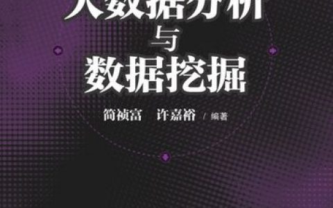 大数据分析与挖掘_大数据分析