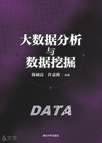 大数据分析与挖掘_大数据分析