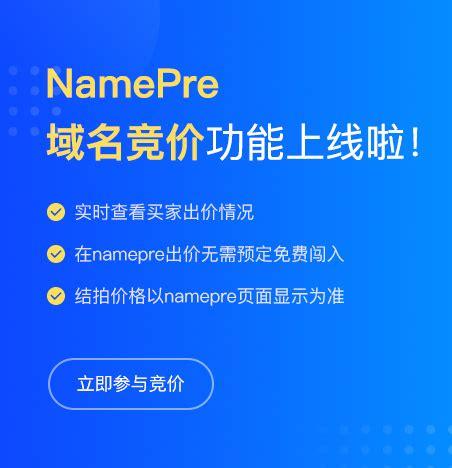 国外域名拍卖_使用咨询