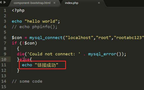 echo_php格式_存储格式