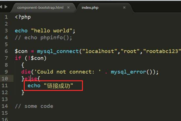 echo_php格式_存储格式