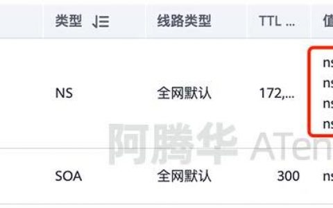 国内 ns dns_域名转入华为云解析