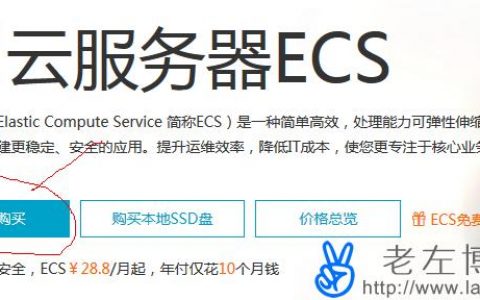 ecs vps_ECS