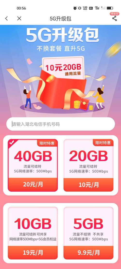 弹性公网IP购买共享流量包_购买共享流量包