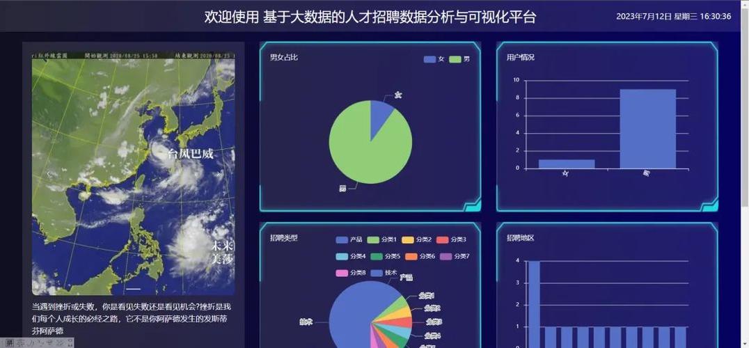 大数据分析人才_大数据分析