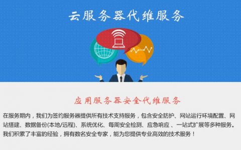 ECS代维_业务代维