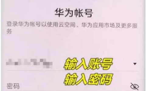 个人使用域名_使用个人华为帐号登录OrgID