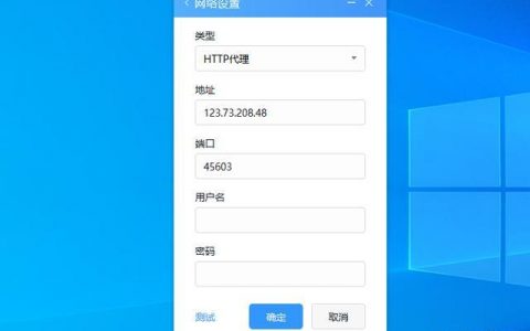 代理网址网站_配置代理