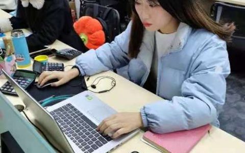 电商数据分析专员_项目专员